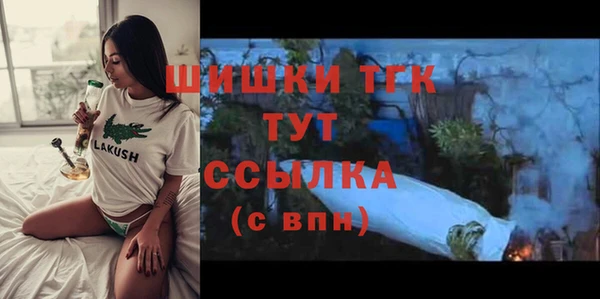 гашик Покровск