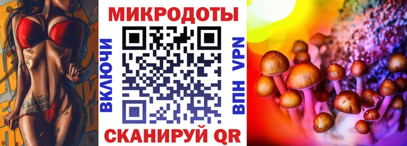 Галлюциногенные грибы Psilocybine cubensis  Звенигово 